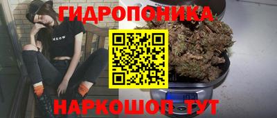 тгк Нальчик
